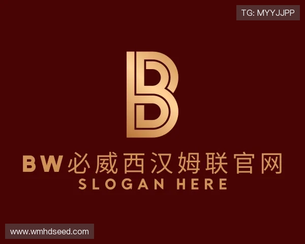 解读bw必威西汉姆联官网